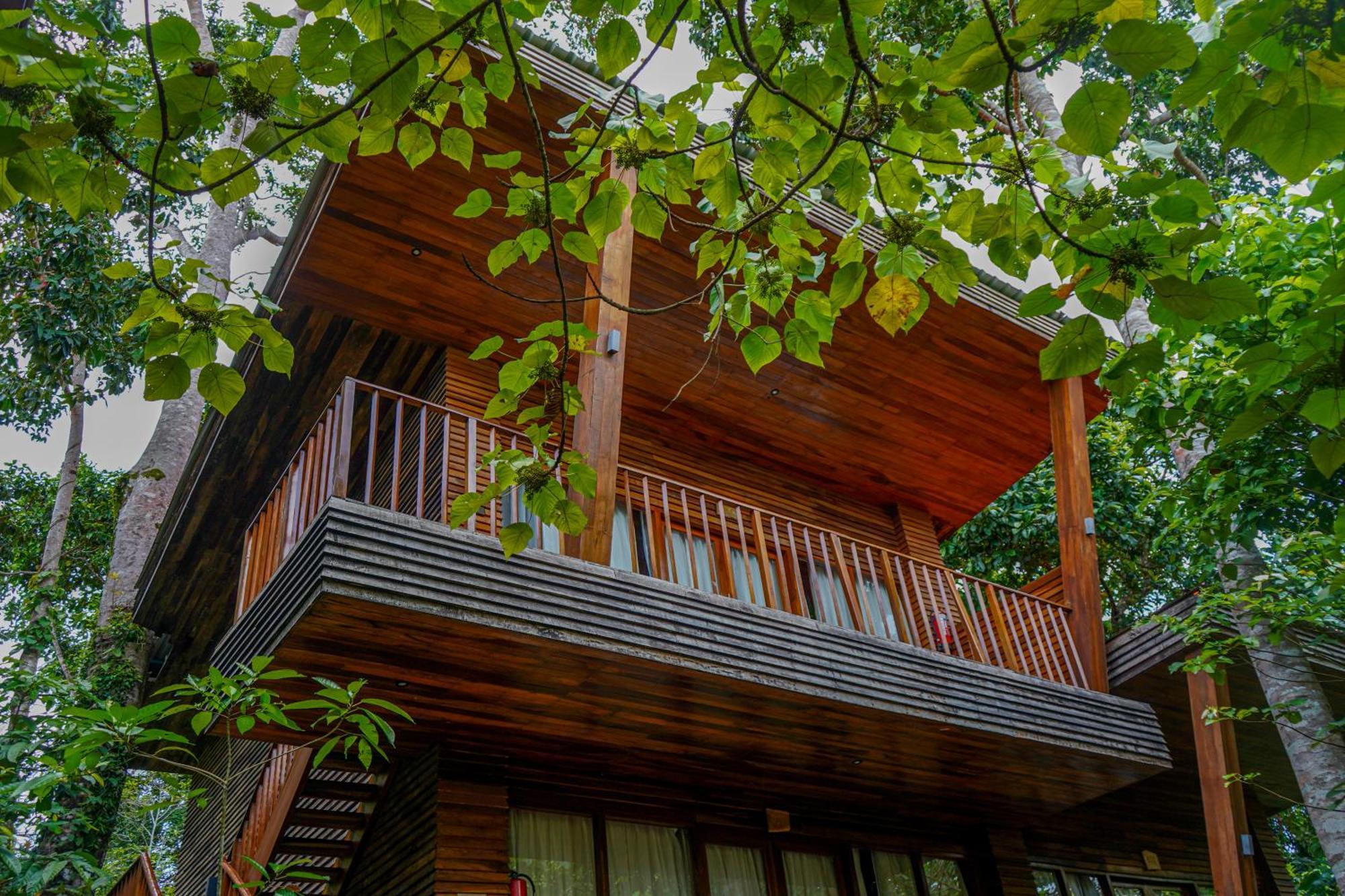 De Foret Elephant Beach Dış mekan fotoğraf