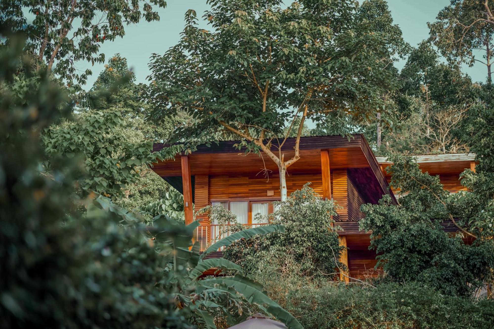 De Foret Elephant Beach Dış mekan fotoğraf