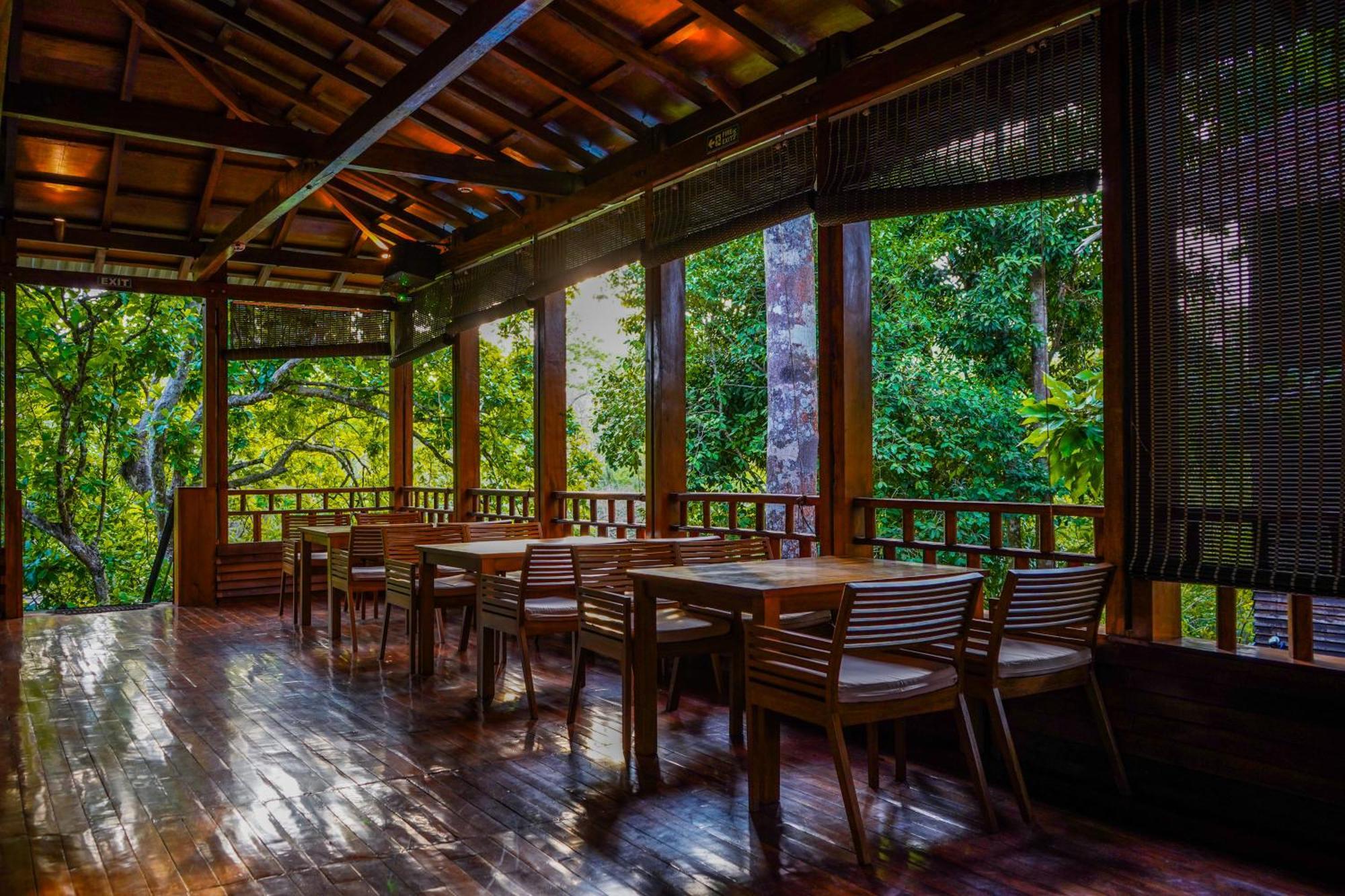 De Foret Elephant Beach Dış mekan fotoğraf